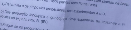 com plantas de flores 
as 100% piantas com flores rosas. 
a).Determina o genótipo dos progenitores dos experimentos A e B. 
b).Que proporção fenotípica e genótipica deve esperar-se ao cruzar-se a F₁ 
obtidas no experimento B. (8V). 
).Porque se os progenitom 
anóti