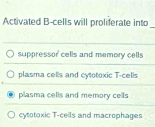 Activated B-cells will proliferate into_
suppressor cells and memory cells
plasma cells and cytotoxic T-cells
plasma cells and memory cells
cytotoxic T-cells and macrophages