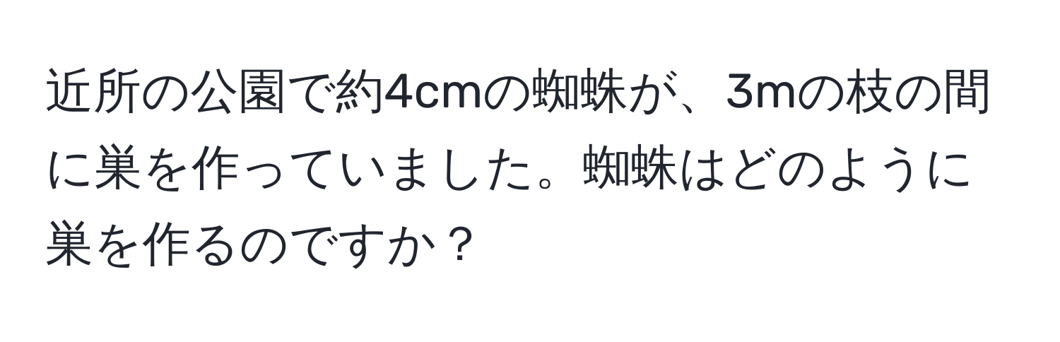 近所の公園で約4cmの蜘蛛が、3mの枝の間に巣を作っていました。蜘蛛はどのように巣を作るのですか？