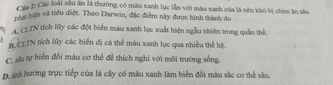 Các loài sâu ăn lá thường có màu xanh lục lẫn với màu xanh của lá nên khó bị chim ăn sâu
phát hiện và tiêu diệt. Theo Darwin, đặc điểm này được hình thành do
n A. CLTN tích lũy các đột biến màu xanh lục xuất hiện ngẫu nhiên trong quần thể.
B, CLTN tích lũy các biến dị cá thể màu xanh lục qua nhiều thế hệ.
C. sâu tự biến đổi màu cơ thể để thích nghi với môi trường sống.
D. ảnh hưởng trực tiếp của lá cây có màu xanh làm biến đồi màu sắc cơ thể sâu.