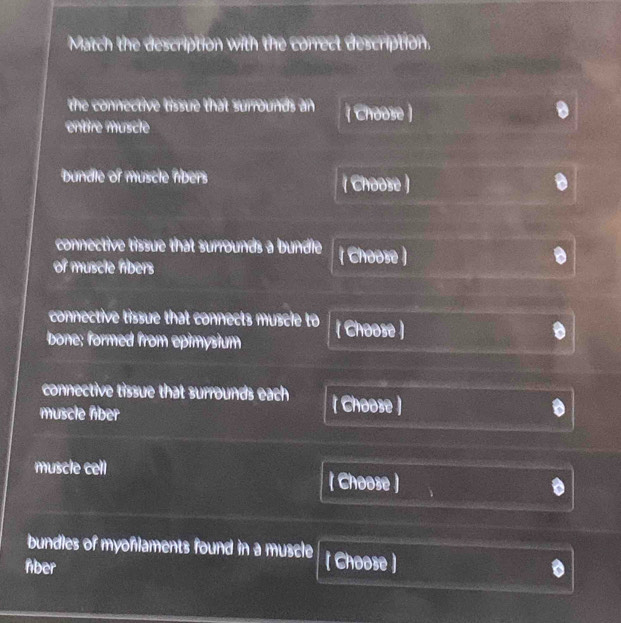 Match the description with the correct description. 
the connective tissue that surrounds an 
entire îuscle ( Choose ) 
bundle of muscle fibers ( Choose ) 
connective tissue that surrounds a bundle ( Choose ) 
of muscle fibers 
connective tissue that connects muscie to 
bone: formed from epimysium ( Choose ) 
connective tissue that surrounds each ( Choose ) 
muscle lber 
muscle cell 
( Choose ) 
bundles of myoñlaments found in a muscle [ Choose] 
nber