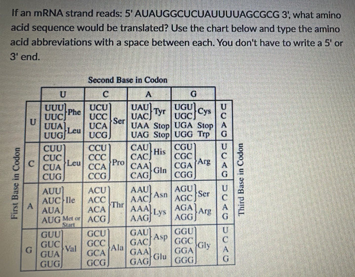 Solved: If an mRNA strand reads: 5' AUAUGGCUCUAUUUUAGCGCG 3', what ...