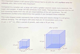 One important reason a coll cannot grow forver has to do with the rell's surface-aree-to 
voume rabio. Why is this ratia important! 
Compared to a smatier cell, a large cell (with a greater volume) needs more ressurces, like 
sugar and gaygon. A large cell also produces more washe. Transporting resources into the cel 
and removing waste from the cell are responsibitbles of the cell membrane. The cell 
membrane's surface area determines how quickily it can transport these materials. 
This cube-shaped model represents how surface area and velume change if a cell grews 
without dividing. The cell begins with sides that are ID micrometers (um) long 
(1 um=10^(-6) m). After a periad of growth, each side is 20 um long 
before growth