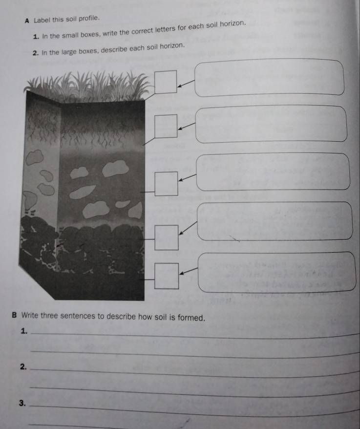 A Label this soil profile. 
1. In the small boxes, write the correct letters for each soil horizon. 
n the large boxes, describe each soil horizon. 
B Write three sentences to describe how soil is formed. 
1._ 
_ 
2._ 
_ 
3._ 
_