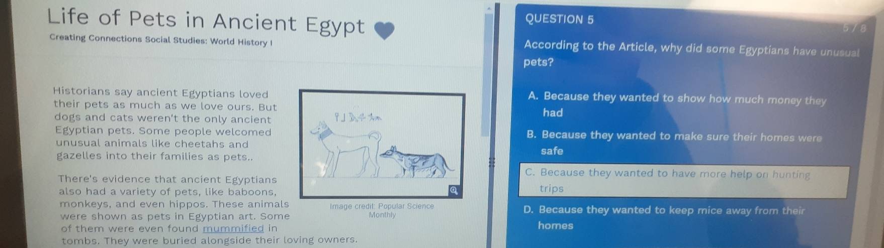 Life of Pets in Ancient Egypt QUESTION 5
5/8
Creating Connections Social Studies: World History I According to the Article, why did some Egyptians have unusual
pets?
Historians say ancient Egyptians lovedA. Because they wanted to show how much money they
their pets as much as we love ours. But
had
dogs and cats weren't the only ancient
Egyptian pets. Some people welcomedB. Because they wanted to make sure their homes were
unusual animals like cheetahs and
gazelles into their families as pets..safe
C. Because they wanted to have more help on hunting
There's evidence that ancient Egyptians
also had a variety of pets, like baboons, trips
monkeys, and even hippos. These animal D. Because they wanted to keep mice away from their
were shown as pets in Egyptian art. Some Monthly
of them were even found mummified in homes
tombs. They were buried alongside their loving owners.