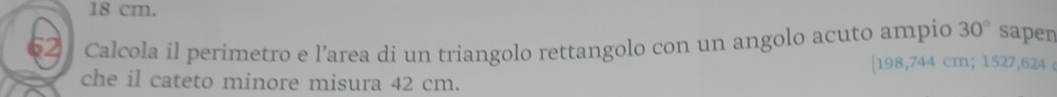 18 cm. 
62 Calcola il perimetro e l’area di un triangolo rettangolo con un angolo acuto ampio 30° sapen 
| 198,744 cm; 1527,624
che il cateto minore misura 42 cm.