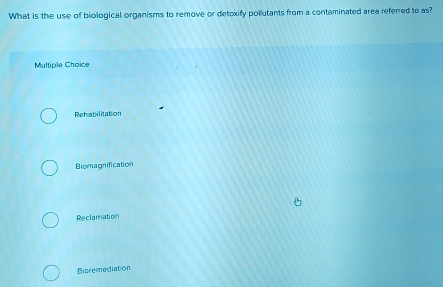 What is the use of biological organisms to remove or detoxify pollutants from a contaminated area referred to as?
Multiple Choice
Rehabilitation
Biomagnification
Reclamation
Bioremediation