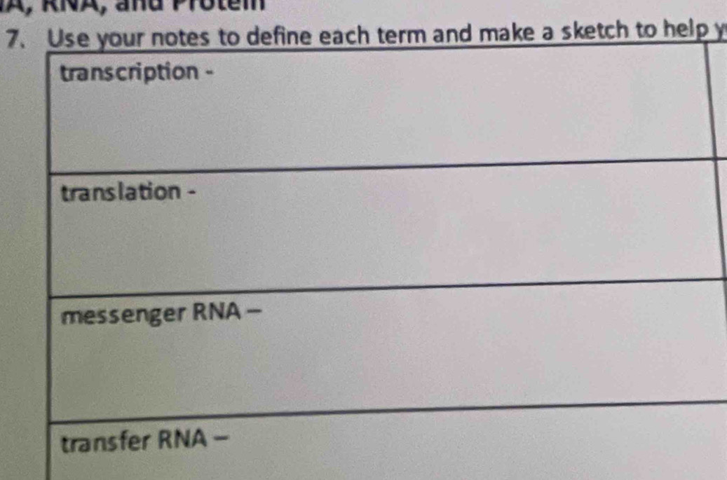 A, RNA, and Protem 
7 y