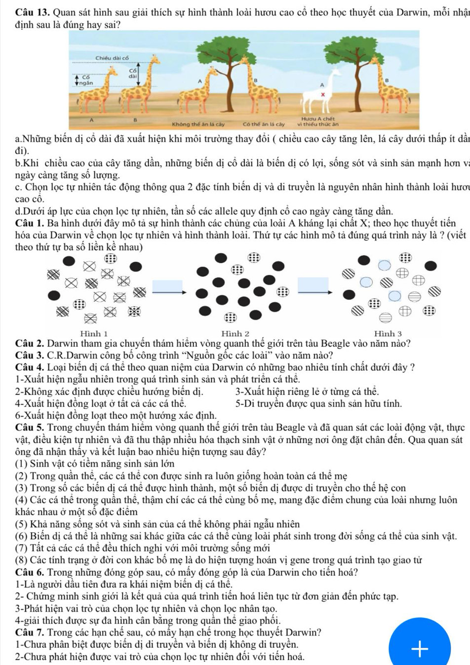 Quan sát hình sau giải thích sự hình thành loài hươu cao cổ theo học thuyết của Darwin, mỗi nhật
định sau là đúng hay sai?
a.Những biến dị cổ dài đã xuất hiện khi môi trường thay đồi ( chiều cao cây tăng lên, lá cây dưới thấp ít dần
đi).
b.Khi chiều cao của cây tăng dần, những biến dị cổ dài là biến dị có lợi, sống sót và sinh sản mạnh hơn và
ngày càng tăng số lượng.
c. Chọn lọc tự nhiên tác động thông qua 2 đặc tính biến dị và di truyền là nguyên nhân hình thành loài hươu
cao cô.
d.Dưới áp lực của chọn lọc tự nhiên, tần số các allele quy định cổ cao ngày càng tăng dần.
Câu 1. Ba hình dưới đây mô tả sự hình thành các chủng của loài A kháng lại chất X; theo học thuyết tiến
hóa của Darwin về  chọn lọc tự nhiên và hình thành loài. Thứ tự các hình mô tả đúng quá trình này là ? (viết
Hình 1 Hình 2 Hình 3
Câu 2. Darwin tham gia chuyến thám hiểm vòng quanh thế giới trên tàu Beagle vào năm nào?
Câu 3. C.R.Darwin công bố công trình “Nguồn gốc các loài” vào năm nào?
Câu 4. Loại biển dị cá thể theo quan niệm của Darwin có những bao nhiêu tính chất dưới đây ?
1-Xuất hiện ngẫu nhiên trong quá trình sinh sản và phát triền cá thể.
2-Không xác định được chiều hướng biển dị. 3-Xuất hiện riêng lẻ ở từng cá thể.
4-Xuất hiện đồng loạt ở tất cả các cá thể. 5-Di truyền được qua sinh sản hữu tính.
6-Xuất hiện đồng loạt theo một hướng xác định.
Câu 5. Trong chuyển thám hiểm vòng quanh thế giới trên tàu Beagle và đã quan sát các loài động vật, thực
vật, điều kiện tự nhiên và đã thu thập nhiều hóa thạch sinh vật ở những nơi ông đặt chân đến. Qua quan sát
ông đã nhận thấy và kết luận bao nhiêu hiện tượng sau đây?
(1) Sinh vật có tiểm năng sinh sản lớn
(2) Trong quần thể, C, các cá thể con được sinh ra luôn giống hoàn toàn cá thể mẹ
(3) Trong số các biến dị cá thể được hình thành, một số biến dị được di truyền cho thế hệ con
(4) Các cá thể trong quần thể, thậm chí các cá thể cùng bố mẹ, mang đặc điểm chung của loài nhưng luôn
khác nhau ở một số đặc điểm
(5) Khả năng sống sót và sinh sản của cá thể không phải ngẫu nhiên
(6) Biến dị cá thể là những sai khác giữa các cá thể cùng loài phát sinh trong đời sống cá thể của sinh vật.
(7) Tất cả các cá thể đều thích nghi với môi trường sống mới
(8) Các tính trạng ở đời con khác bố mẹ là do hiện tượng hoán vị gene trong quá trình tạo giao tử
Câu 6. Trong những đóng góp sau, có mấy đóng góp là của Darwin cho tiến hoá?
1-Là người dầu tiên đưa ra khái niệm biến dị cá thể.
2- Chứng minh sinh giới là kết quả của quá trình tiến hoá liên tục từ đơn giản đến phức tạp.
3-Phát hiện vai trò của chọn lọc tự nhiên và chọn lọc nhân tạo.
4-giải thích được sự đa hình cân bằng trong quần thể giao phối.
Câu 7. Trong các hạn chế sau, có mấy hạn chế trong học thuyết Darwin?
1-Chưa phân biệt được biến dị di truyền và biến dị không di truyền.
2-Chưa phát hiện được vai trò của chọn lọc tự nhiên đối với tiến hoá.
+