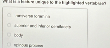Solved: What is a feature unique to the highlighted vertebrae ...