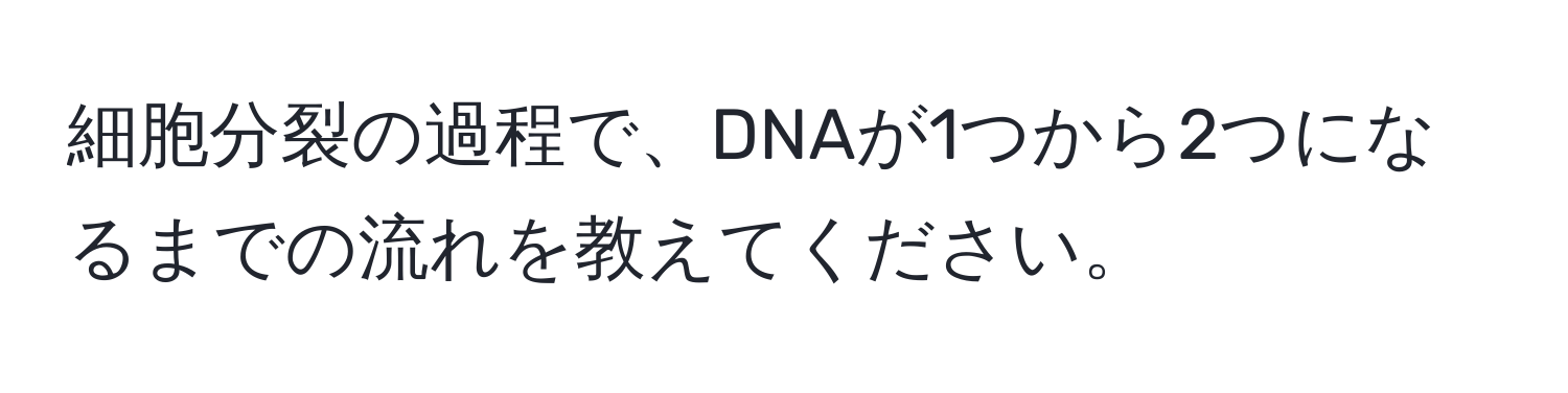 細胞分裂の過程で、DNAが1つから2つになるまでの流れを教えてください。