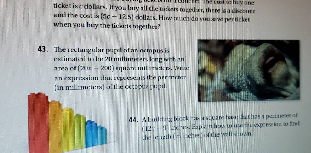 for a concert. The cost to buy one 
ticket is c dollars. If you buy all the tickets together, there is a discount 
and the cost is (5c-12.5) dollars. How much do you save per ticket 
when you buy the tickets together? 
43. The rectangular pupil of an octopus is 
estimated to be 20 millimeters long with an 
area of (20x-200) square millimeters. Write 
an expression that represents the perimeter 
(in millimeters) of the octopus pupil. 
44. A building block has a square base that has a perimeter of
(12x-9) inches. Explain how to use the expression to find 
the length (in inches) of the wall shown.