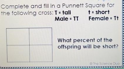 Complete and fill in a Punnett Square for 
the following cross: T= tall t= short 
Male =TT Female =Tt
What percent of the 
offspring will be short? 
© The Science Duo