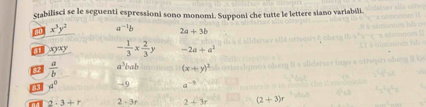 Ștabilisci se le seguenti espressioni sono monomi. Supponi che tutte le lettere siano variabili. 
80 x^3y^2 a^(-1)b 2a+3b
81 xyxy - 1/3 x 2/3 y -2a+a^2
82  a/b  a^3bab (x+y)^2
83 a^0 -9 a^(-9)
m 2· 3+r 2· 3r 2+3r (2+3)r