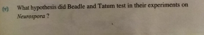 What hypothesis did Beadle and Tatum test in their experiments on 
Neurospora ?