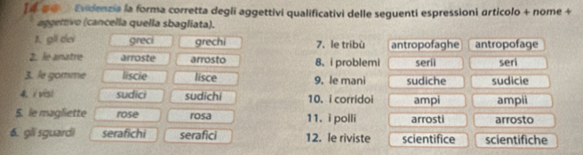 [4 #0 Evidenzia la forma corretta degli aggettivi qualificativi delle seguenti espressioni articolo + nome + 
aggettivo (cancella quella sbagliata). 
1. gi dơi greci grechi 7、 le tribù antropofaghe antropofage 
2. le anatre arroste arrosto 8. i problemi seriì seri 
3. le gomme liscie lisce 9. le mani sudiche sudicie 
4. i visi sudici sudichi 10. i corridoi ampi ampii 
5. le magliette rose rosa 11. i polli arrosti arrosto 
6. gli sguardi serafichi serafici 12. le riviste scientifice scientifiche