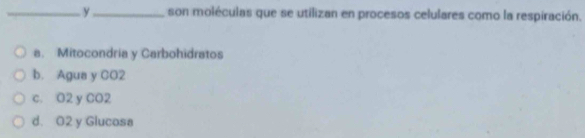 y_ son moléculas que se utilizan en procesos celulares como la respiración.
a. Mitocondria y Carbohidratos
b. Agua y CO2
c. O2 y CO2
d. O2 y Glucosa