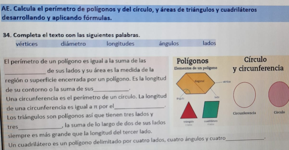 AE. Calcula el perímetro de polígonos y del círculo, y áreas de triángulos y cuadriláteros 
desarrollando y aplicando fórmulas. 
34. Completa el texto con las siguientes palabras. 
vértices diámetro longitudes ángulos lados 
El perímetro de un polígono es igual a la suma de las Polígonos Círculo 
_de sus lados y su área es la medida de la Elementos de un polígono y circunferencia 
región o superficie encerrada por un polígono. Es la longitud diagonal - vértice 
de su contorno o la suma de sus_ 
. 
Una circunferencia es el perímetro de un círculo. La longitud ángulo lado 
de una circunferencia es igual a π por el_ 
. 
Los triángulos son polígonos así que tienen tres lados y Circunferencia Círculo 
tres_ , la suma de lo largo de dos de sus lados triêngulo Iinhia cuadrilátero 4 mim
siempre es más grande que la longitud del tercer lado. 
Un cuadrilátero es un polígono delimitado por cuatro lados, cuatro ángulos y cuatro_ 
.