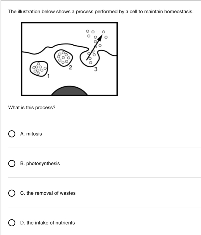 The illustration below shows a process performed by a cell to maintain homeostasis.
What is this process?
A. mitosis
B. photosynthesis
C. the removal of wastes
D. the intake of nutrients