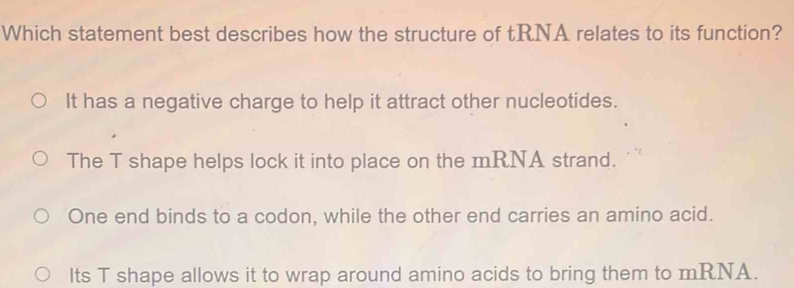 Which statement best describes how the structure of tRNA relates to its function?
It has a negative charge to help it attract other nucleotides.
The T shape helps lock it into place on the mRNA strand.
One end binds to a codon, while the other end carries an amino acid.
Its T shape allows it to wrap around amino acids to bring them to mRNA.