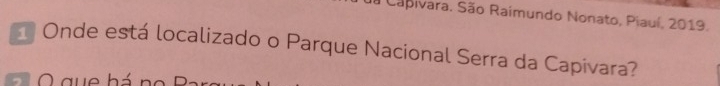 Capivara. São Raimundo Nonato, Piauí, 2019. 
Onde está localizado o Parque Nacional Serra da Capivara?