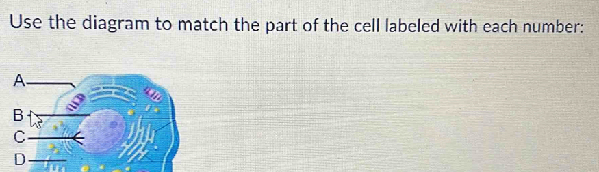 Solved: Use the diagram to match the part of the cell labeled with each ...