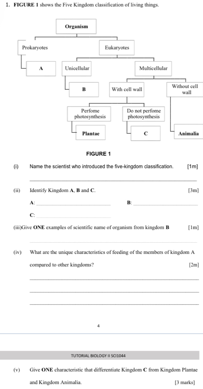 FIGURE 1 shows the Five Kingdom classification of living things. 
ll 
ia 
(i) Name the scientist who introduced the five-kingdom classification. [1m] 
_ 
(ii) Identify Kingdom A, B and C. [3m] 
A:_ 
B:_ 
C:_ 
(iii)Give ONE examples of scientific name of organism from kingdom B [1m] 
_ 
(iv) What are the unique characteristics of feeding of the members of kingdom A 
compared to other kingdoms? [2m] 
_ 
_ 
_ 
4 
TUTORIAL BIOLOGY II SCI1044 
(v) Give ONE characteristic that differentiate Kingdom C from Kingdom Plantae 
and Kingdom Animalia. [3 marks]