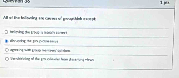 All of the following are causes of groupthink except:
believing the group is morally correct
disrupting the group consensus
agreeing with group members' opinions
the shielding of the group leader from dissenting views