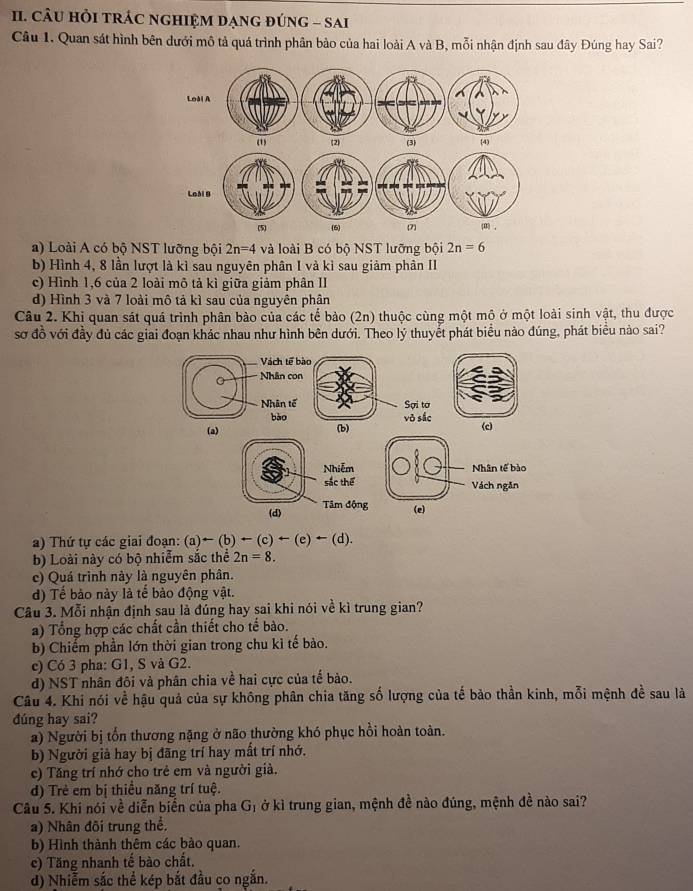 CÂU HỏI TRÁC NGHIệM DạNG đÚNG - SAi
Câu 1. Quan sát hình bên dưới mô tả quá trình phân bảo của hai loài A và B, mỗi nhận định sau đây Đúng hay Sai?
(1) 2 (3) 4
a) Loài A có bộ NST lưỡng bội 2n=4 và loài B có bộ NST lưỡng bội 2n=6
b) Hình 4, 8 lần lượt là kì sau nguyên phân I và kỉ sau giảm phân II
c) Hình 1,6 của 2 loài mô tả kì giữa giảm phân II
d) Hình 3 và 7 loài mô tả kì sau của nguyên phân
Câu 2. Khi quan sát quá trình phân bảo của các tế bảo (2n) thuộc cùng một mô ở một loài sinh vật, thu được
sơ đồ với đầy đủ các giai đoạn khác nhau như hình bên dưới. Theo lý thuyết phát biểu nào đúng, phát biểu nào sai?
Vách tế bào
Nhân con
Nhân tế Sợi tơ
bào vỏ sắc
(a) (b) (c)
Nhiễm Nhân tế bào
sắc thể Vách ngăn
(d) Tâm động (e)
a) Thứ tự các giai đoạn: (a)-(b)+(c)+(e)+(d).
b) Loài này có bộ nhiễm sắc thể 2n=8.
c) Quá trình này là nguyên phân.
d) Tế bào này là tế bào động vật.
Câu 3. Mỗi nhận định sau là đúng hay sai khi nói về kì trung gian?
a) Tổng hợp các chất cần thiết cho tế bào.
b) Chiếm phần lớn thời gian trong chu kì tế bào.
c) Có 3 pha: G1, S và G2.
d) NST nhân đôi và phân chia về hai cực của tế bào.
Câu 4. Khi nói về hậu quả của sự không phân chia tăng số lượng của tế bảo thần kinh, mỗi mệnh đề sau là
đúng hay sai?
a) Người bị tổn thương nặng ở não thường khó phục hồi hoàn toàn.
b) Người giả hay bị đãng trí hay mất trí nhớ.
c) Tăng trí nhớ cho trẻ em và người già.
d) Trẻ em bị thiều năng trí tuệ.
Câu 5. Khi nói về diễn biển của pha G_1 ở kì trung gian, mệnh đề nào đúng, mệnh đề nào sai?
a) Nhân đõi trung thể.
b) Hình thành thêm các bào quan.
c) Tăng nhanh tế bào chất.
d) Nhiễm sắc thể kép bắt đầu co ngắn.