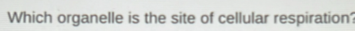 Which organelle is the site of cellular respiration?