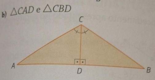 △ CAD △ CBD