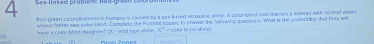 Sex-linked problem: Red-green colorblinane: 
Red-green colorblindness in humans is caused by a sex-linked recessive allele. A color-blind man marries a woman with normal vision 
whose father was color-blind. Complete the Punnett square to answer the following questions: What is the probability that they will
0.6 have a color-blind daughter? alpha = wild type allele, X^C= color blind allele) 
Dron Zones Reset All