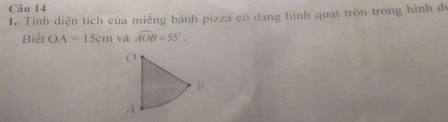 Tinh diện tích của miếng bánh pizza có dạng hình quạt tròn trong hình d 
Biết OA=15cm và widehat AOB=55°.