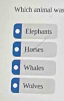 Which animal was. Elephants. Horses. Whales. Wolves