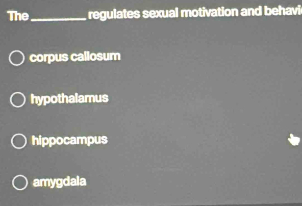 The_ regulates sexual motivation and behavi
corpus callosum
hypothalamus
hippocampus
amygdala