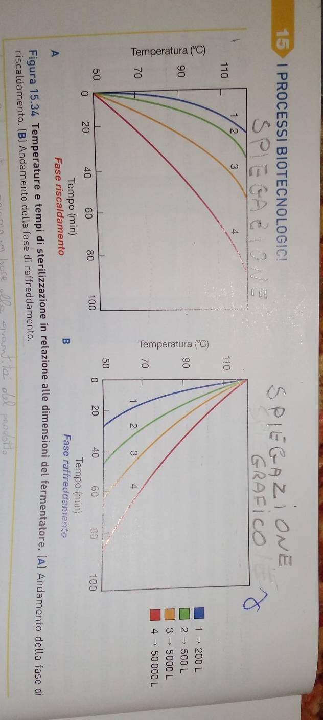 15> I PROCESSI BIOTECNOLOG!C!
110
1 → 200 L
90
2 → 500 L
3 → 5000 L
4 → 50 000 L
70
1 2 3 4
50
0 20 40 60 80 100
Tempo (min) 
Fase raffreddamento 
B 
Figura 15.34 Temperature e tempi di sterilizzazione in relazione alle dimensioni del fermentatore. (A) Andamento della fase di 
riscaldamento. (B) Andamento della fase di raffreddamento.