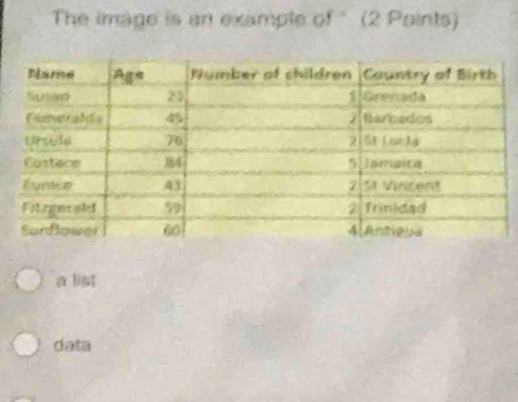 The image is an example of " (2 Points)
a list
data