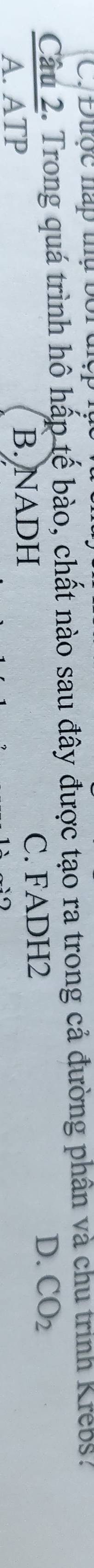 Được náp thụ b o r 
Câu 2. Trong quá trình hô hấp tế bào, chất nào sau đây được tạo ra trong cả đường phần và chu trình Krebs.
A. ATP B. NADH C. FADH2 D. CO_2