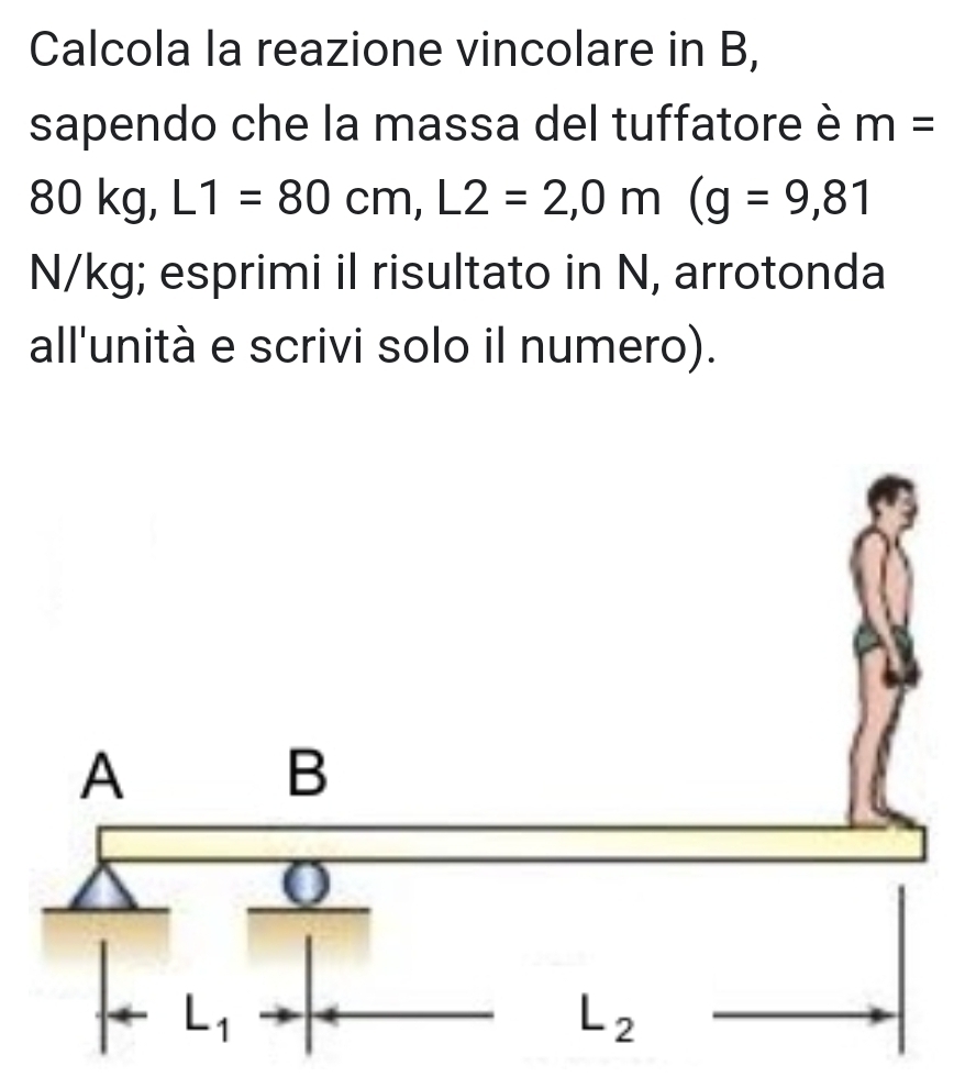 Calcola la reazione vincolare in B,
sapendo che la massa del tuffatore è m=
80kg,L1=80cm,L2=2,0m(g=9,81
N/kg; esprimi il risultato in N, arrotonda
all'unità e scrivi solo il numero).