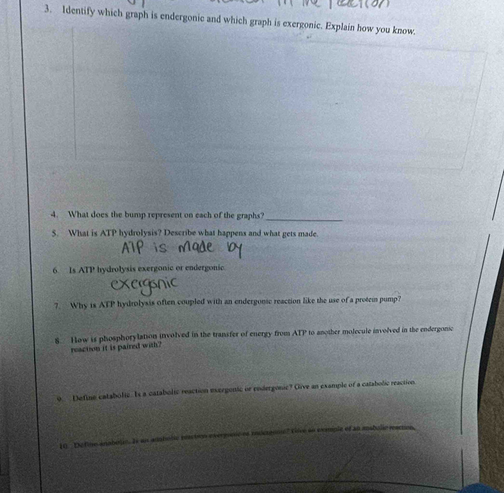 Identify which graph is endergonic and which graph is exergonic. Explain how you know. 
4. What does the bump represent on each of the graphs?_ 
5. What is ATP hydrolysis? Describe what happens and what gets made. 
6 Is ATP hydrolysis exergonic or endergonic 
? Why is ATP hydrolysis often coupled with an endergonic reaction like the use of a protein pump? 
8 How is phosphorylation involved in the transfer of energy from ATP to another molecule involved in the endergonic 
reaction it is paired with? 
9 Define catabolic. Is a catabolic reaction exergontc or endergonic? Give an example of a catabolic reaction 
10. _Define anabolie. Is an anaholic raction evergome es enderanme? Tire an example of an anabolie reacton,