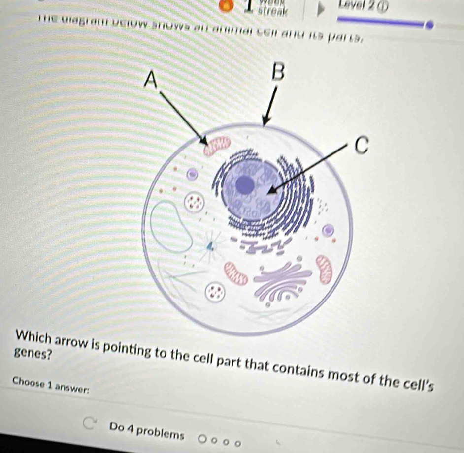 streak Level 2① 
Te diagram below snows af ahimal sell and its parts. 
genes? 
Which arrow is pointing to the cell part that contains most of the cell's 
Choose 1 answer: 
Do 4 problems