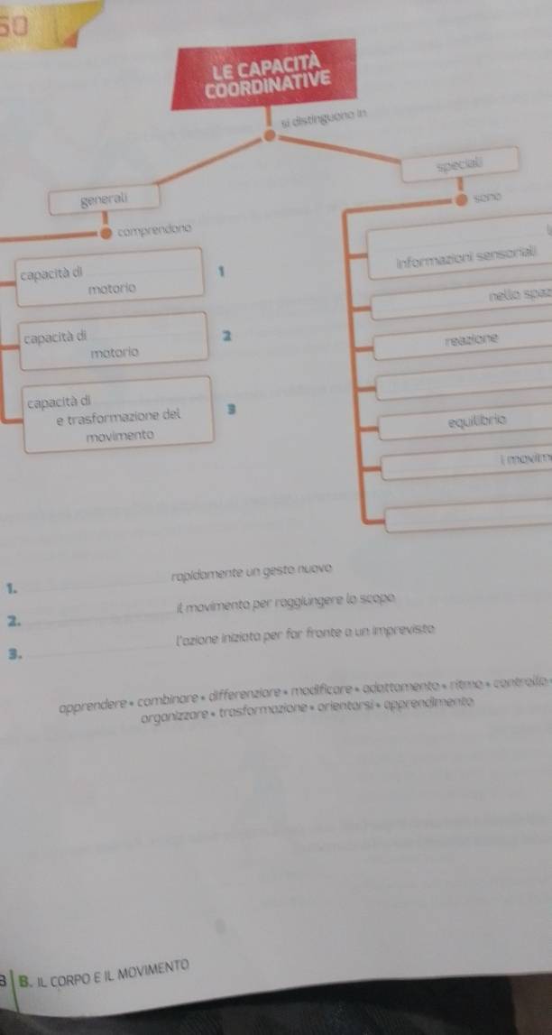 LE CAPACITA 
COORDINATIVE 
si distinguana in 
speciali 
generali so70 
comprendono 
Informazioni sensoriali 
capacità di 1
matorio 
nello spaz 
capacità di 2
reazione 
matorio 
capacità di 
e trasformazione del 3
equilibria 
movimento 
i moxim 
1. rapídamente un gesto nuavo 
il movimento per ragglungere lo scopo 
2. 
l'azione iniziata per for frante a un imprevista 
3. 
apprendere « combinare « differenziore « modificare » adattamento « ritmo « controlia » 
arganizzare « trasformazione » orientarsi « apprendimento 
B. IL CORPO E IL MOVIMENTO