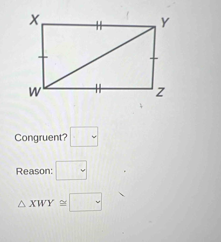 Congruent? □ 
Reason: □
△ XWY≌ □