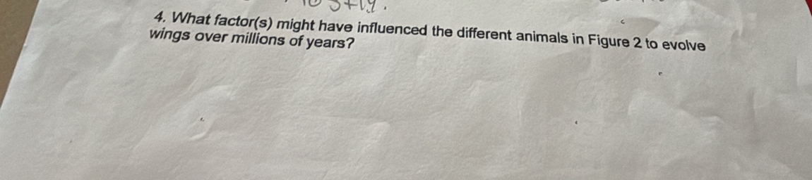 What factor(s) might have influenced the different animals in Figure 2 to evolve 
wings over millions of years?