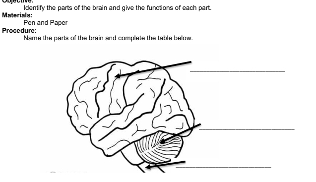 bjective . 
Identify the parts of the brain and give the functions of each part. 
Materials: 
Pen and Paper 
Procedure: 
Name the parts of the brain and complete the table below. 
_ 
_ 
_ 
_