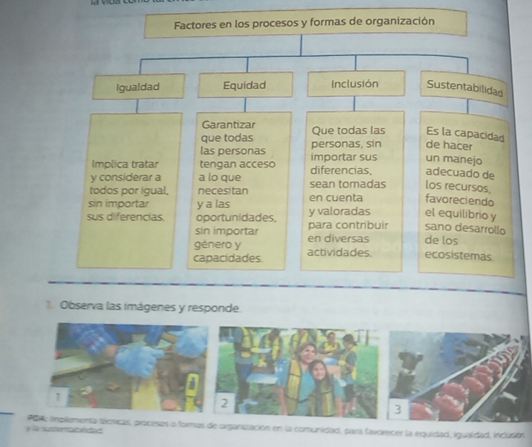 Factores en los procesos y formas de organización 
Igualdad Equidad Inclusión Sustentabilidad 
Garantizar 
que todas Que todas las Es la capacidad 
las personas personas, sin de hacer 
Implica tratar tengan acceso importar sus un manejo 
y considerar a a lo que diferencias, adecuado de 
todos por igual, necesitan sean tomadas los recursos, 
sin importar y a las en cuenta favoreciendo 
sus diferencias. oportunidades, y valoradas el equilibrio y 
sin importar para contribuir sano desarrollo 
género y en diversas de los 
capacidades actividades. ecosistemas 
1. Observa las imágenes y responde. 
3 
Par impliementa técnicas, procesos o formas de organización en la comunidad, para favorecer la equidad, igualdad, inclusión 
Ne sst d e d