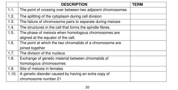 DESCRIPTION TERM
20