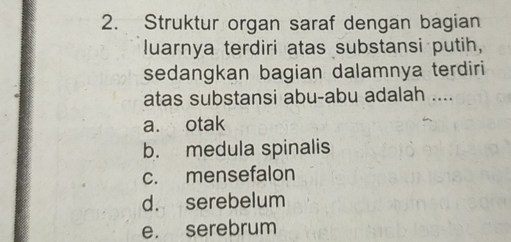 Struktur organ saraf dengan bagian
luarnya terdiri atas substansi putih,
sedangkan bagian dalamnya terdiri
atas substansi abu-abu adalah ....
a. otak
b. medula spinalis
c. mensefalon
d. serebelum
e. serebrum