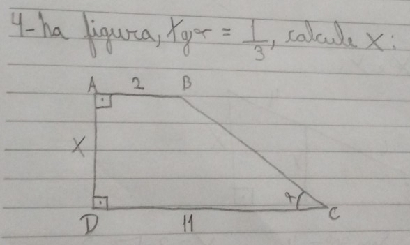 y-ha liqura, xgr= 1/3  , colcue x :