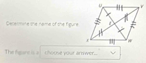 Determine the name of the figure 
The figure is a choose your answer...